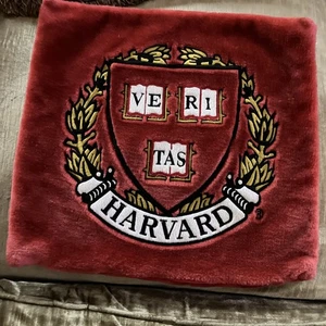 Copricuscino Rosso Harvard 14" Mq Cerniera - Foto 1 di 4