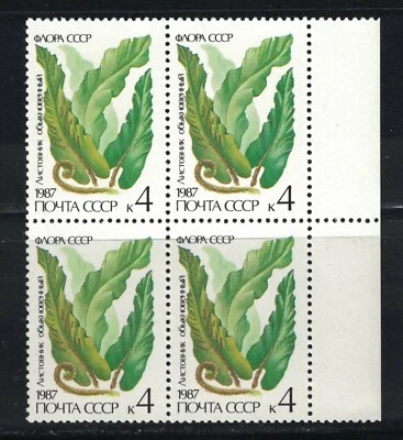 RUSSIA,USSR:1987 SC#5572 block of 4 MNH Ferns - Image 1 of 2