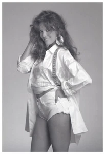 Sexy Dukes of Hazzard Actress Catherine Bach 13x19 Publicity Photo [230215-13] - Picture 1 of 1