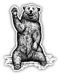 Hi Five Bear Sketch Car Bumper Sticker Decal -  ''SIZES'' - Picture 1 of 1