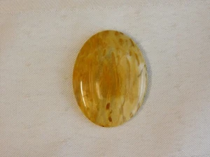 Fossil Palm Wood Cabochon - Picture 1 of 6