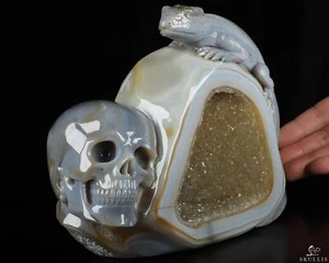 7,5" Premium Brasilianischer Achat Handgeschnitzt Kristall Schädel Kunst Skulptur - Bild 1 von 13