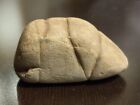 Indian Artifacts Grooved Boatstone Atlatl Weight Arrowheads