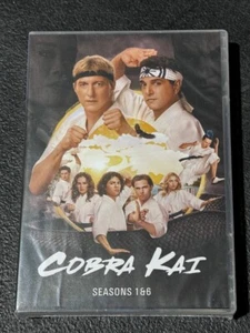 Cobra Kai - The Complete Series, Seasons 1-6 (Season 6 Part 1+2+3)(DVD, 14-Disc) - Picture 1 of 2