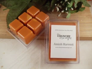 Fall and Holiday Soy Wax Clamshell Melt Tarts- Great Holiday Aromas - Picture 1 of 7