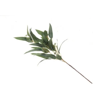 Faux Silk Eucalyptus Nicoli Spray 84cm/33 Inches Green - Picture 1 of 1