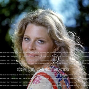 LOVELY SEXY 1970s LINDSAY WAGNER 12x12 (PHOTO) "BIONIC WOMAN" MASTER PRINT 001 - Picture 1 of 1