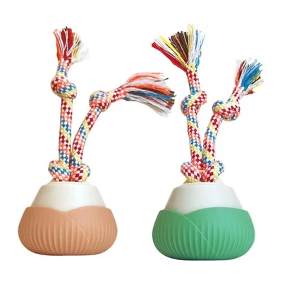 Rotating Cats Exercise Toy Ball Usb Chargeable Hunting Training Activity Toy - Image 1 of 4