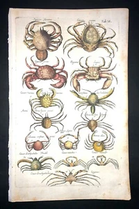 MERIAN - CRABS - PL.6 - FOLIO - ORIGINAL ENGRAVING - 1650 - 1ST EDITION - Picture 1 of 1