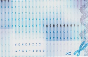 AUSTRALIEN POSTFRISCH 2003 BRIEFMARKEN PRÄSENTATIONSPAKET AUSTRALISCHE GENETIK DNA - Bild 1 von 2