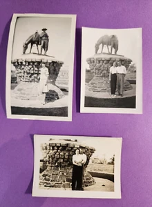 Vintage 3 foto reali William Hart Memorial Range Cavaliere di Yellowstone Billings MT - Foto 1 di 5