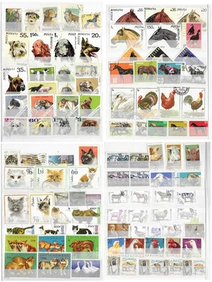 WW. Collection_250325 #100 (U/M, see scans). Fauna. Good stamps, best price! - Image 1 of 4