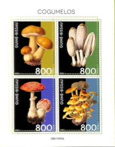 A7859 - Guinea-Bissau - ERROR MISPERF Stamp Sheet - 2021 Plants Mushrooms - Picture 1 of 1