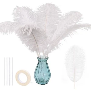 Bulk White Ostrich Feathers - 12pcs 12-14inch Crafting Supplies for Centerpie... - Picture 1 of 8
