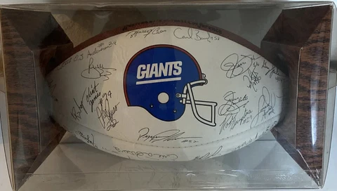 1990 NFL NEW YORK GIANTS LASER PRINTED REPLICA TEAM SIGNATURES WILSON FOOTBALL Cover