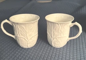 Coalport Wedgwood Countryware Bone China Mug Beaker (English Mug) Set Of 2 - Picture 1 of 10