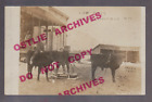 West Bloomfield Wisconsin Rppc 1910 Store Cow-Drawn Sledge Kids Ghost Town? Snow