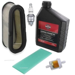 Wartung Zündkerze Luftfilter Briggs Stratton Powerbuilt Diamond Vanguard < 16 PS - Bild 1 von 10