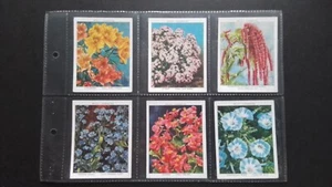 WILLS  1939.  GARDEN  FLOWERS. NEW  VARIETIES,  2ND  SERIES,  SET OF 40 CARDS. - Picture 1 of 14