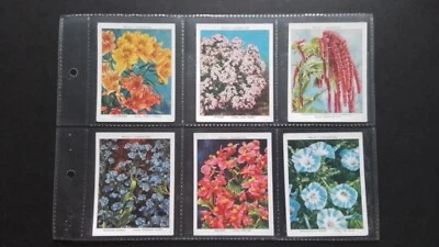 WILLS  1939.  GARDEN  FLOWERS. NEW  VARIETIES,  2ND  SERIES,  SET OF 40 CARDS. - Image 1 of 4