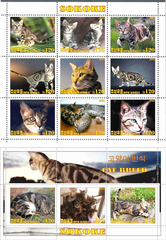 Stamp sheet+block Sokoke 2021 Korea issue - Image 1 of 1