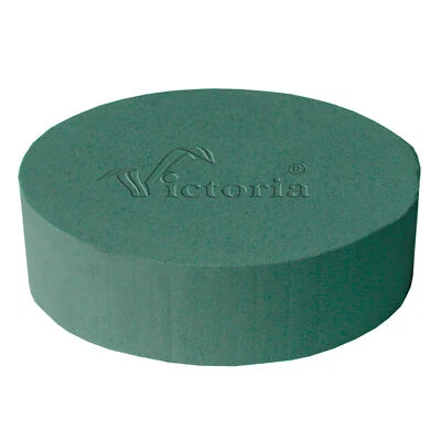 MARKENLOS Nass Steckschaum Rund 22x7cm Frischblumen Schnittblumen Blumen Steckmasse Grün