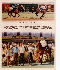 ONEFORE JIM TURF PARADISE RACE TRACK - M3626 - Picture 1 of 1