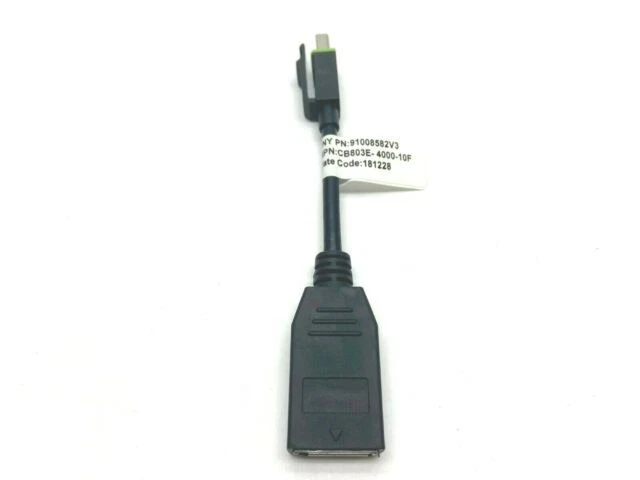 PNY Mini Male to Female Display Port Adapter Cable (91008582V3)