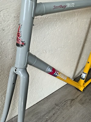 RALEIGH TECHNIUM 框架和叉 57 厘米铝管 3.5 KGS。 126 毫米后空间 — 第 1/4 张图片