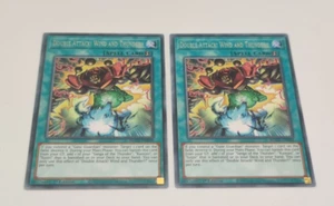 2x Double Attack! Wind und Donner!! MAZE-DE008 Yu-Gi-Oh Karten Konvolut 1. Auflage - Bild 1 von 9