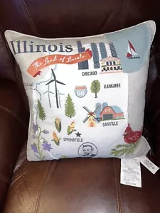 HAND Embroidered Throw Pillow ILLINOIS DOWN FILLED BEAUTIFUL! - Picture 1 of 12