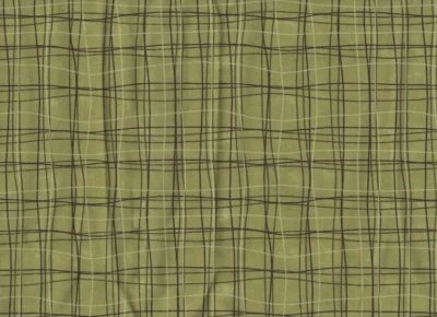 New Quilts...Old Friends Sandy Gervais for Moda - Green Abstract Plaid - 1 yard - Image 1 of 3