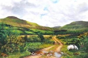 PINTURA AL ÓLEO ORIGINAL SARAH ""Camino a las montañas Galtee"" Irlanda - Imagen 1 de 1