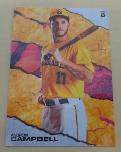 2019/20 Brisbane Bandits ANDREW CAMPBELL Insert - Heidenheim Heidekoepfe - Foto 1 di 2