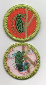 Insect Study Merit Badge, Type L, "Since 1910" Back (2012-Current) - Imagen 1 de 1