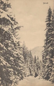 Suecia Järvsö B56 - Imagen 1 de 2