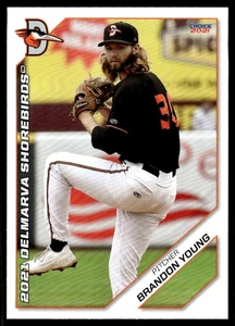 2021 Brandon Young MiLB Minor League Rookie Delmarva Shorebirds - Picture 1 of 2