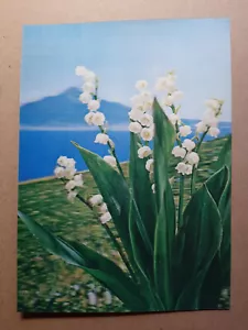 Postal lenticular 3D vintage PK-255, MAYBELLS 2, TOPPAN, Zurich - Imagen 1 de 2