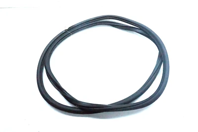 Volkswagen Tiguan 2018-2021 OEM puerta delantera izquierda en carrocería sello de tira de clima Foto 1 de 4