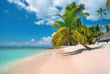 Tropische Karibikinsel Saona, Dominikanische Republik. Wunderschöner Strand, Pal
