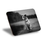Placemat Cork 290X215   Bw   Jack Russell Terrier Lakeside Dog 36535