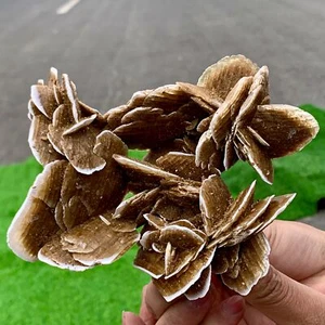 327G Natural Africa Selenite Desert Rose Crystal Cluster minerals healing - Picture 1 of 23