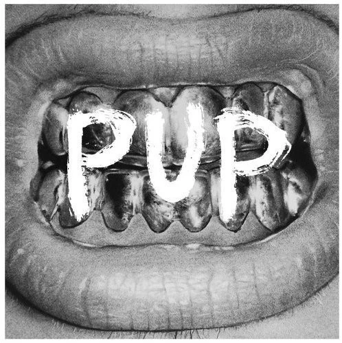 Pup - Pup [New CD] Foto 1 de 1