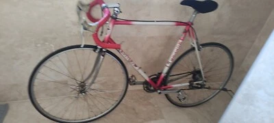 Albuch Kotter Vintage Rennrad,  21 Gang RH 58 - Bild 1 von 4