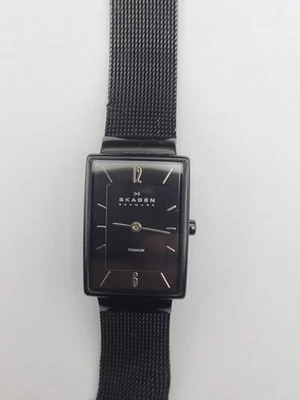 Reloj Skagen 434STMB Damas Negro Tanque Titanio Nueva Batería Funciona Banda de Malla Foto 1 de 4