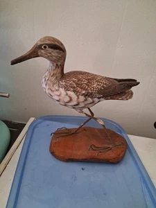 Hand Carved Shore Bird. Vintage Curlew Carving Height 9 In, Length 10 In - Picture 1 of 7
