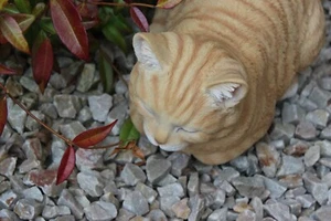 Vivid Arts Ginger Dreaming Cat Resin Ornament - Picture 1 of 7