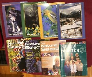 THE NATURAL SELECTION Zeitschriften diverse Einzelausgaben Herbst 2001 - Winter 2005