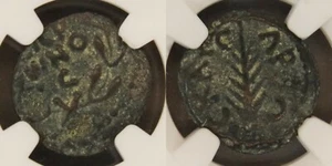 Porcius Festus, AE Prutah, NGC Ch VF, AD 59, Under Nero, Trial of Paul, - Picture 1 of 5