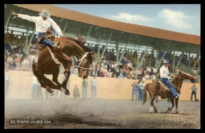 Postcard Rodeo Ed Scholtz Bob Cat Grandstand, Council Bluffs, IA - Picture 1 of 2